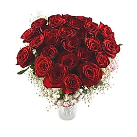 Vazoda 25'li Kırmızı Gül