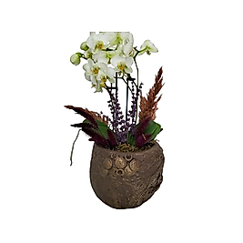 Özel Seramikte Minyatür Orkide