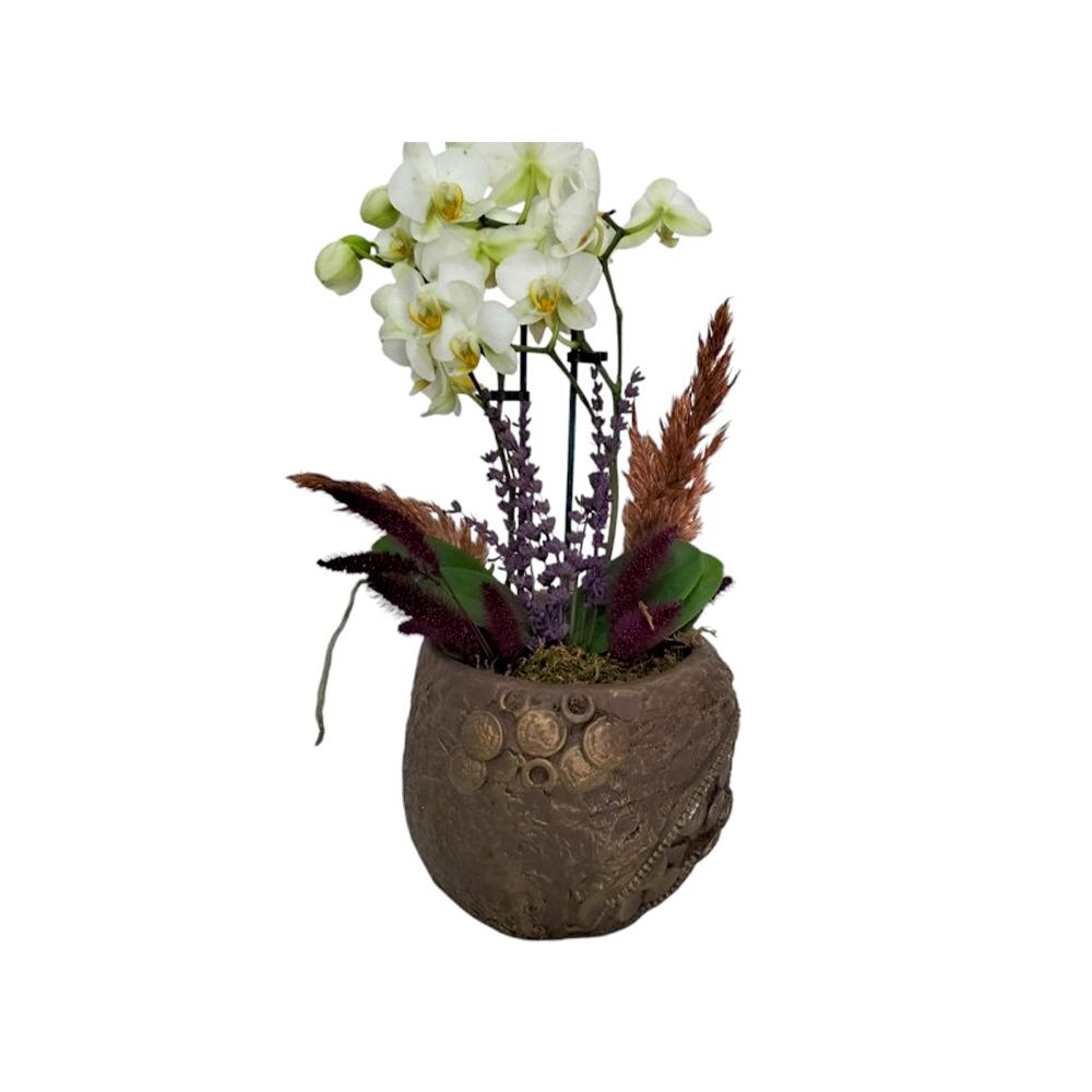 Özel Seramikte Minyatür Orkide