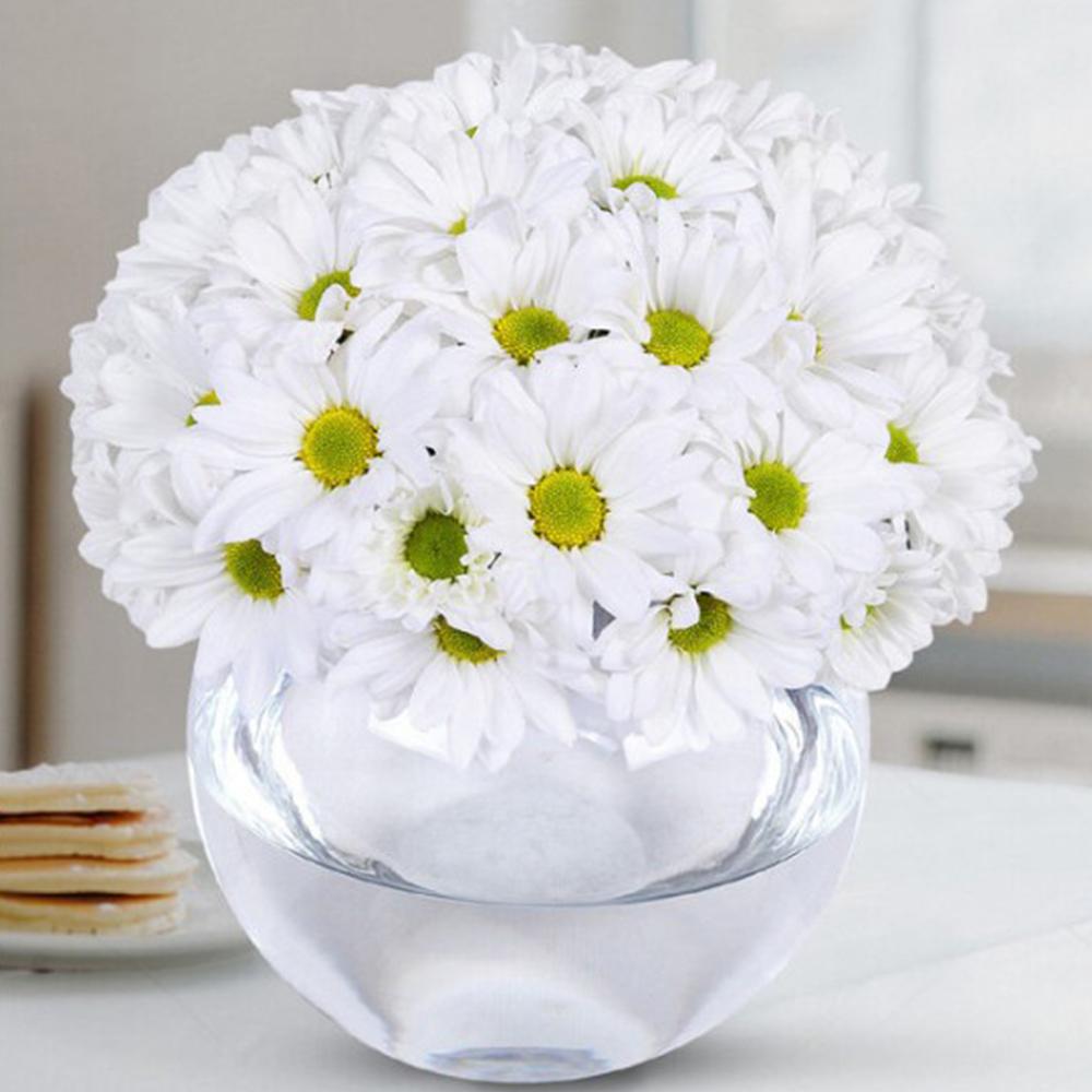 Cam Vazoda Beyaz Papatyalar