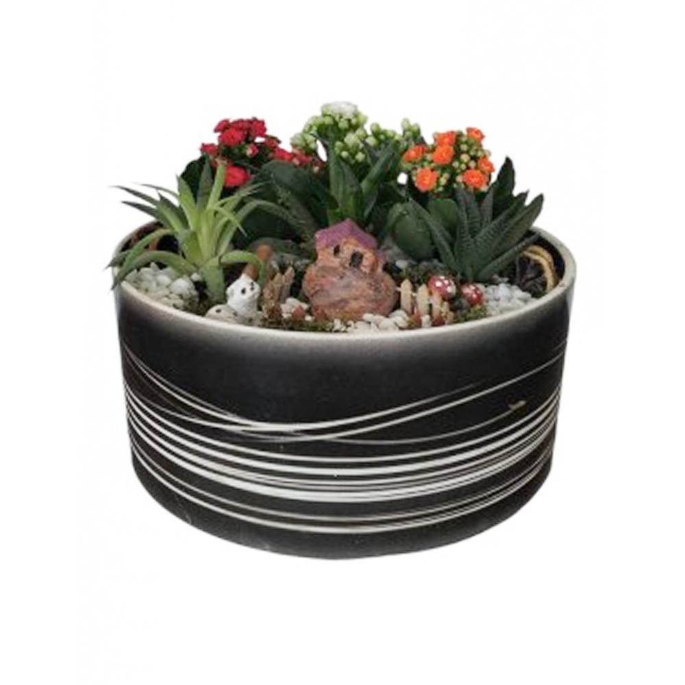 Seramikte Özel Teraryum